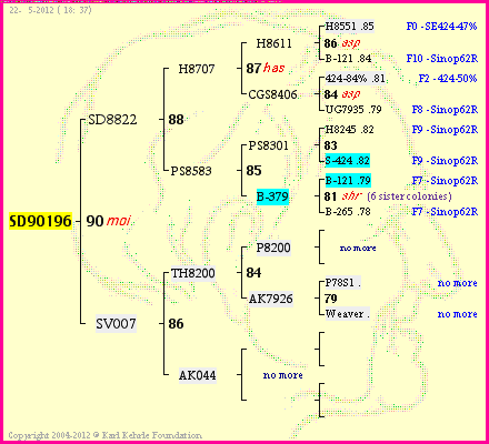 Pedigree of SD90196 :
four generations presented