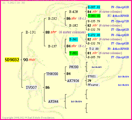 Pedigree of SD9032 :
four generations presented