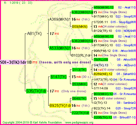 Pedigree of SDI-3(TK)1dr :
four generations presented<br />it's temporarily unavailable, sorry!