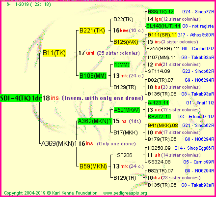 Pedigree of SDI-4(TK)1dr :
four generations presented<br />it's temporarily unavailable, sorry!