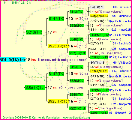 Pedigree of SDI-5(TK)1dr :
four generations presented<br />it's temporarily unavailable, sorry!