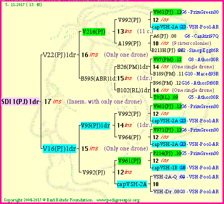 Pedigree of SDI1(PJ)1dr :
four generations presented<br />it's temporarily unavailable, sorry!