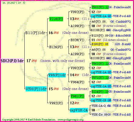 Pedigree of SDI2(PJ)1dr :
four generations presented<br />it's temporarily unavailable, sorry!