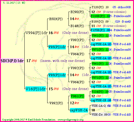 Pedigree of SDI3(PJ)1dr :
four generations presented<br />it's temporarily unavailable, sorry!