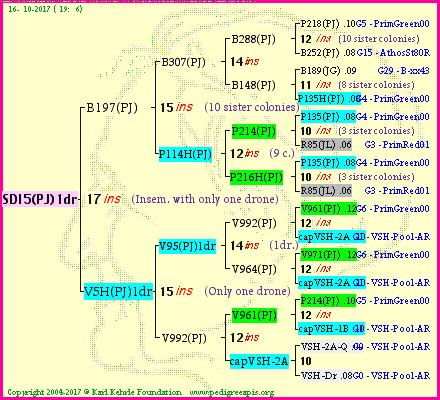 Pedigree of SDI5(PJ)1dr :
four generations presented<br />it's temporarily unavailable, sorry!