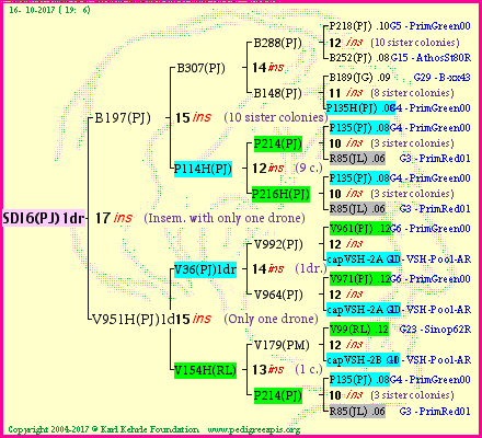 Pedigree of SDI6(PJ)1dr :
four generations presented<br />it's temporarily unavailable, sorry!