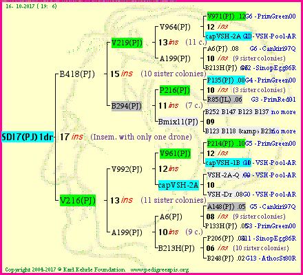 Pedigree of SDI7(PJ)1dr :
four generations presented<br />it's temporarily unavailable, sorry!