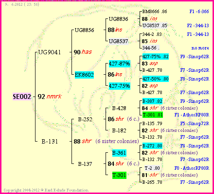 Pedigree of SE002 :
four generations presented