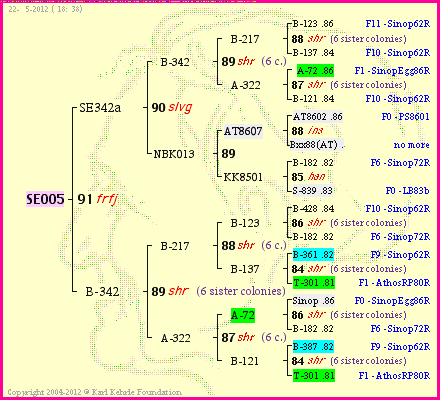 Pedigree of SE005 :
four generations presented