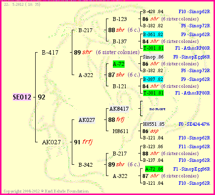 Pedigree of SE012 :
four generations presented