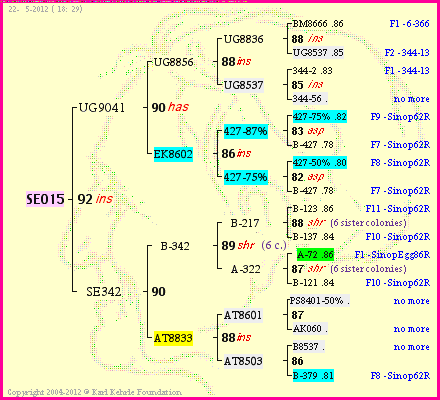 Pedigree of SE015 :
four generations presented