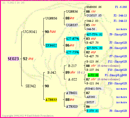 Pedigree of SE023 :
four generations presented