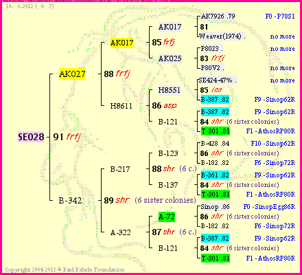 Pedigree of SE028 :
four generations presented