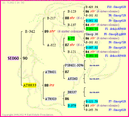 Pedigree of SE060 :
four generations presented