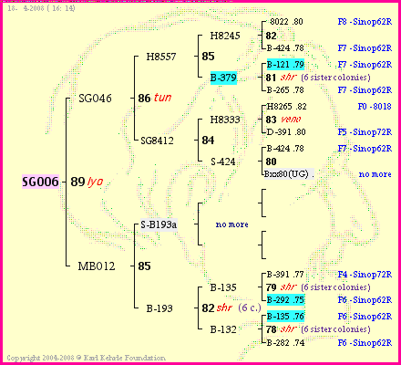 Pedigree of SG006 :
four generations presented