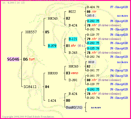 Pedigree of SG046 :
four generations presented
it's temporarily unavailable, sorry!