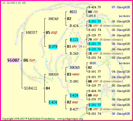 Pedigree of SG087 :
four generations presented