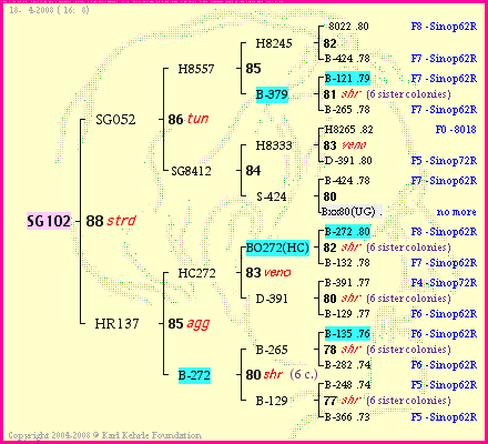 Pedigree of SG102 :
four generations presented