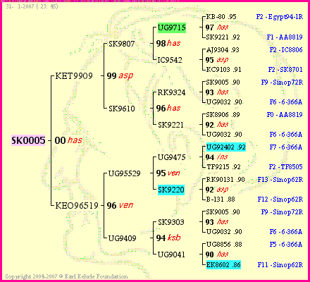 Pedigree of SK0005 :
four generations presented