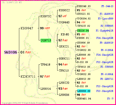 Pedigree of SK0106 :
four generations presented