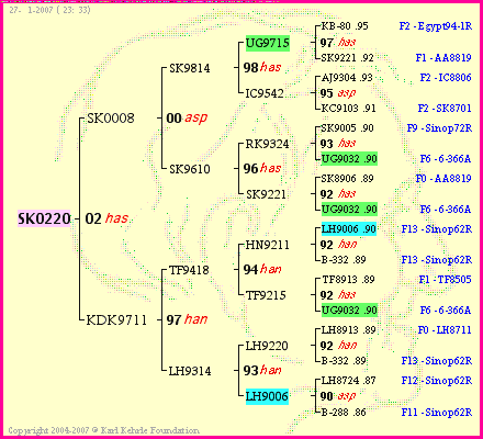 Pedigree of SK0220 :
four generations presented