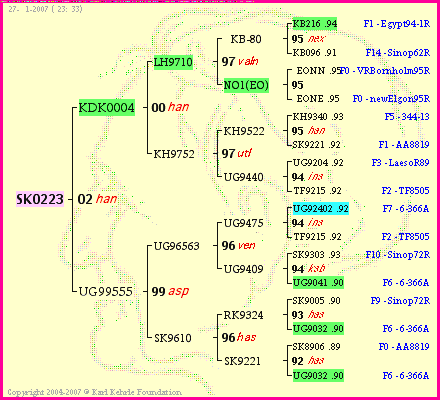 Pedigree of SK0223 :
four generations presented