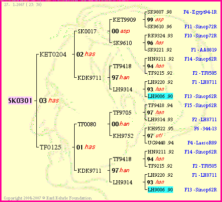 Pedigree of SK0301 :
four generations presented