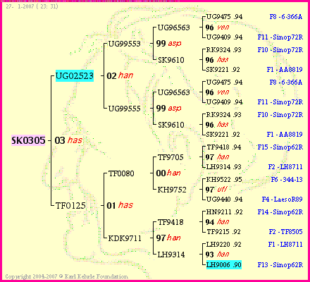 Pedigree of SK0305 :
four generations presented