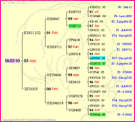 Pedigree of SK0310 :
four generations presented