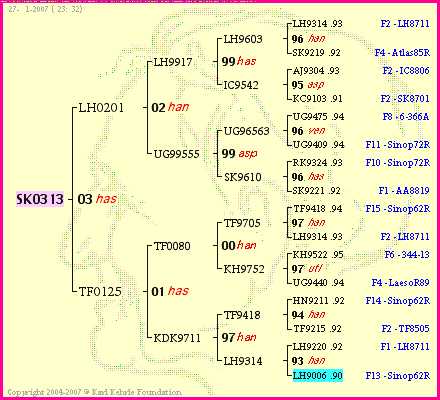 Pedigree of SK0313 :
four generations presented