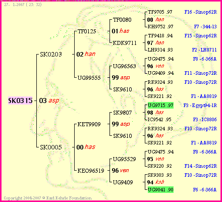 Pedigree of SK0315 :
four generations presented