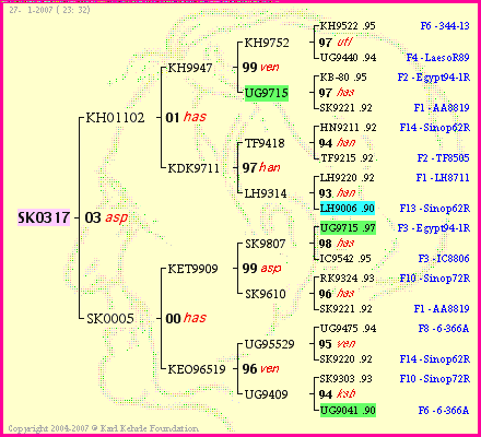 Pedigree of SK0317 :
four generations presented