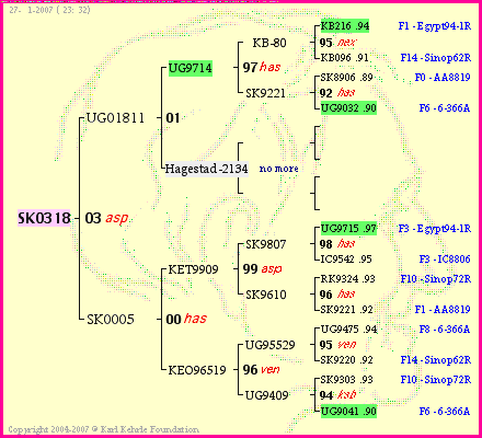 Pedigree of SK0318 :
four generations presented