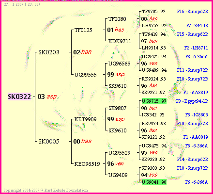 Pedigree of SK0322 :
four generations presented