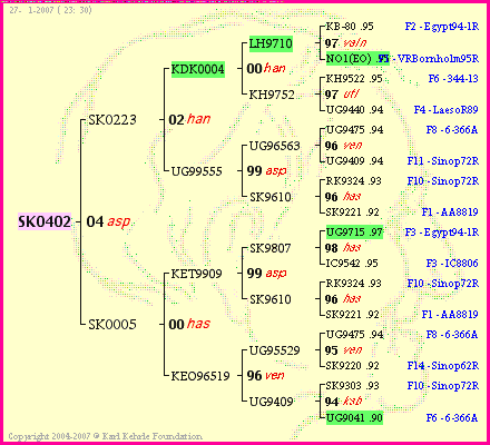 Pedigree of SK0402 :
four generations presented