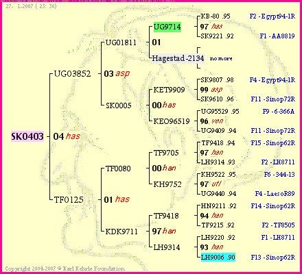 Pedigree of SK0403 :
four generations presented