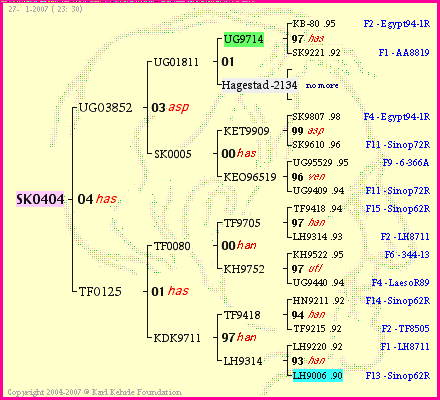 Pedigree of SK0404 :
four generations presented