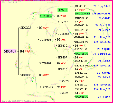 Pedigree of SK0407 :
four generations presented