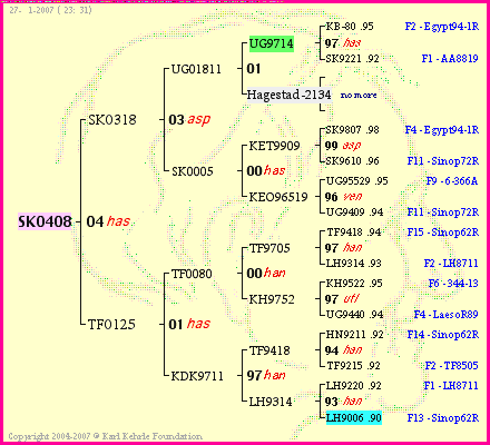 Pedigree of SK0408 :
four generations presented