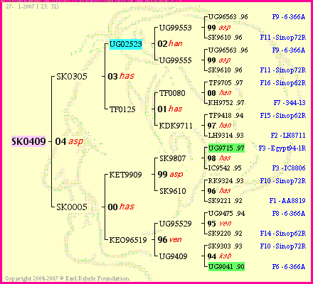 Pedigree of SK0409 :
four generations presented