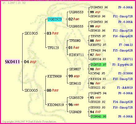 Pedigree of SK0411 :
four generations presented