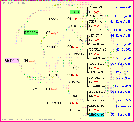 Pedigree of SK0412 :
four generations presented