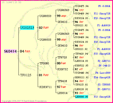 Pedigree of SK0414 :
four generations presented