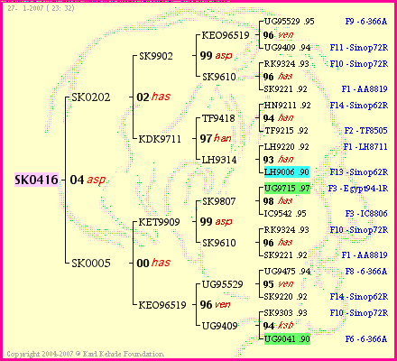 Pedigree of SK0416 :
four generations presented