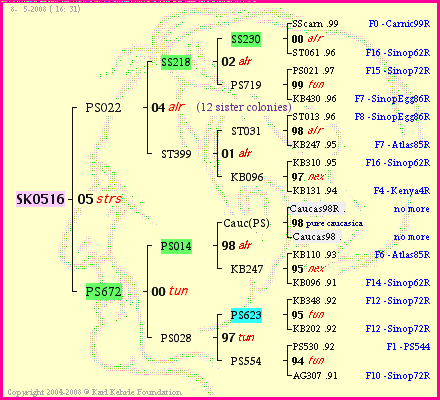 Pedigree of SK0516 :
four generations presented