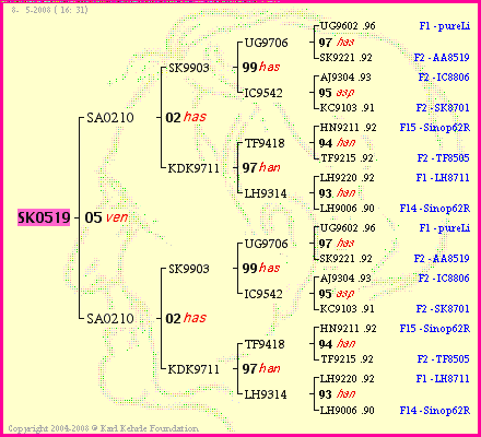 Pedigree of SK0519 :
four generations presented