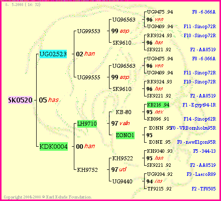 Pedigree of SK0520 :
four generations presented