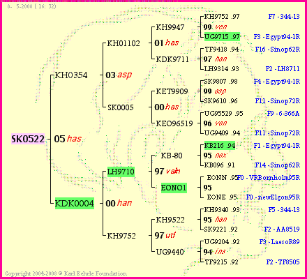 Pedigree of SK0522 :
four generations presented