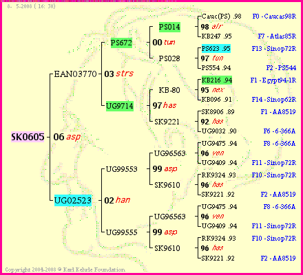 Pedigree of SK0605 :
four generations presented