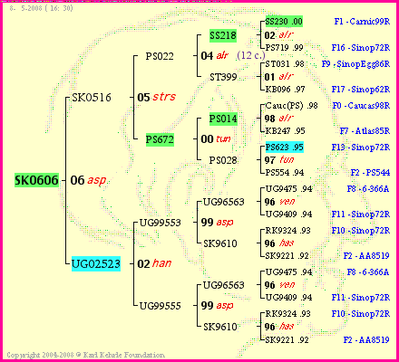 Pedigree of SK0606 :
four generations presented